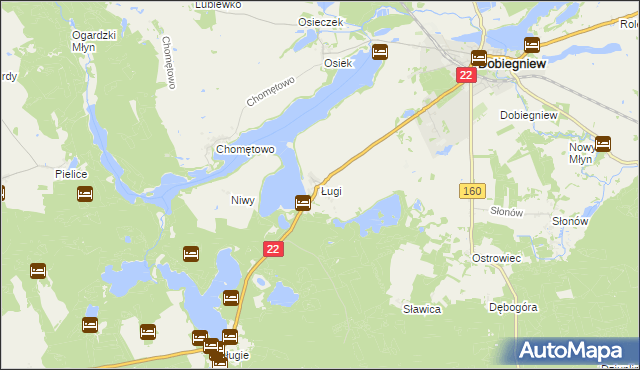 mapa Ługi gmina Dobiegniew, Ługi gmina Dobiegniew na mapie Targeo