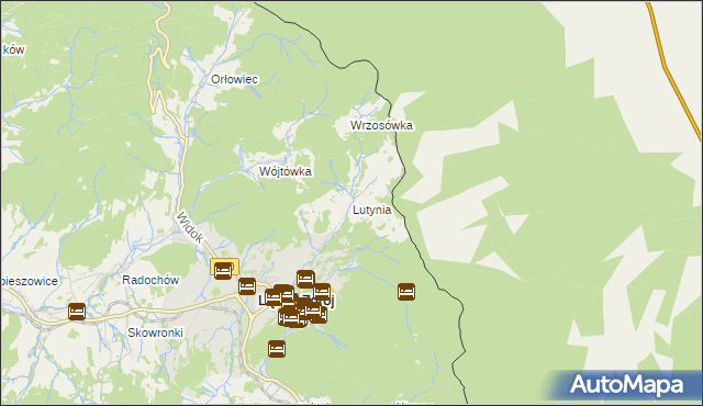 mapa Lutynia gmina Lądek-Zdrój, Lutynia gmina Lądek-Zdrój na mapie Targeo