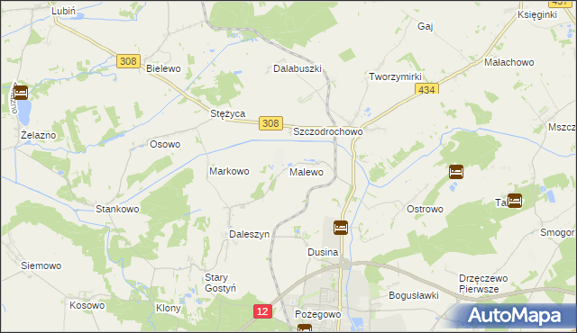 mapa Malewo gmina Gostyń, Malewo gmina Gostyń na mapie Targeo