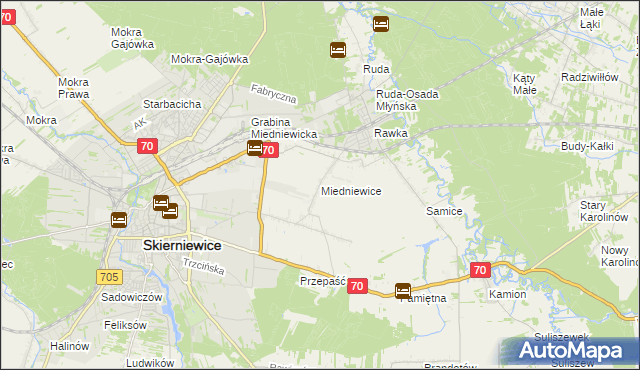 mapa Miedniewice gmina Skierniewice, Miedniewice gmina Skierniewice na mapie Targeo
