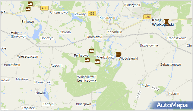 mapa Międzybórz gmina Książ Wielkopolski, Międzybórz gmina Książ Wielkopolski na mapie Targeo