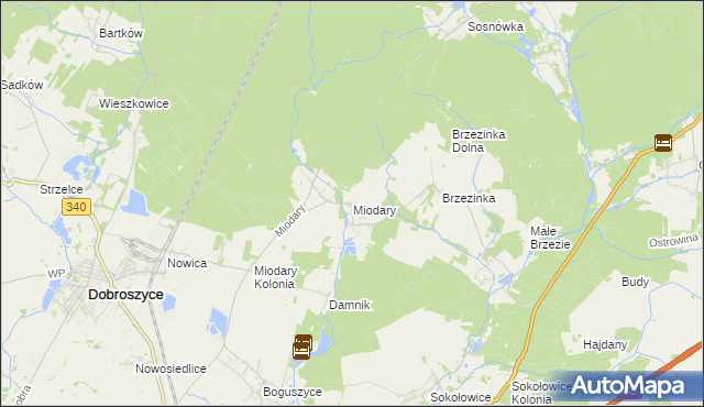 mapa Miodary gmina Dobroszyce, Miodary gmina Dobroszyce na mapie Targeo