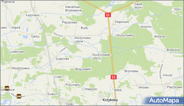 mapa Murzynowiec Leśny, Murzynowiec Leśny na mapie Targeo