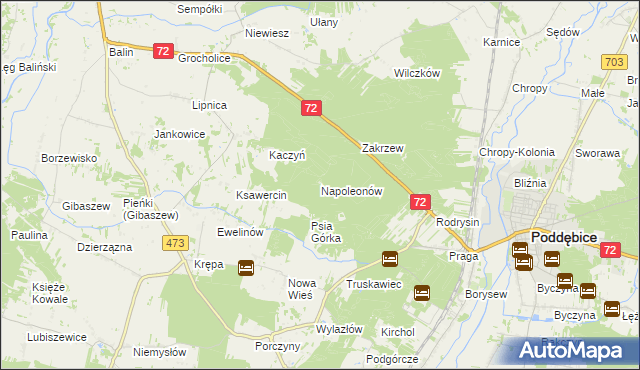 mapa Napoleonów gmina Poddębice, Napoleonów gmina Poddębice na mapie Targeo