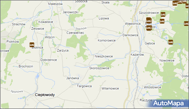 mapa Nieszkowice gmina Strzelin, Nieszkowice gmina Strzelin na mapie Targeo