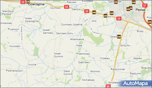 mapa Niwa gmina Dzierzążnia, Niwa gmina Dzierzążnia na mapie Targeo