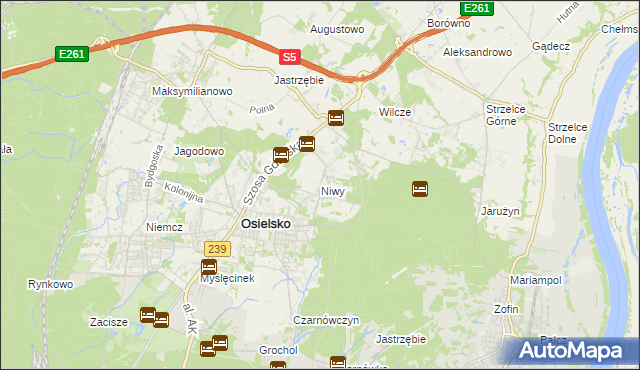 mapa Niwy gmina Osielsko, Niwy gmina Osielsko na mapie Targeo