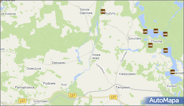 mapa Nowa Wieś gmina Bledzew, Nowa Wieś gmina Bledzew na mapie Targeo