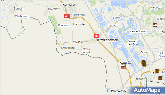 mapa Nowa Wioska gmina Krzyżanowice, Nowa Wioska gmina Krzyżanowice na mapie Targeo