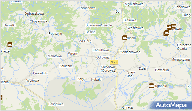 mapa Odrowąż gmina Czarny Dunajec, Odrowąż gmina Czarny Dunajec na mapie Targeo
