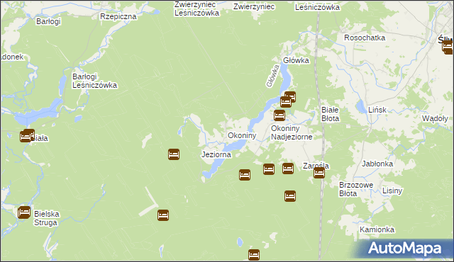 mapa Okoniny gmina Śliwice, Okoniny gmina Śliwice na mapie Targeo