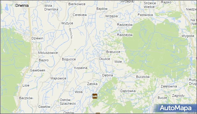 mapa Okulice gmina Rzezawa, Okulice gmina Rzezawa na mapie Targeo