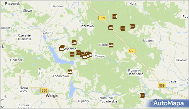 mapa Orłowo gmina Wielgie, Orłowo gmina Wielgie na mapie Targeo