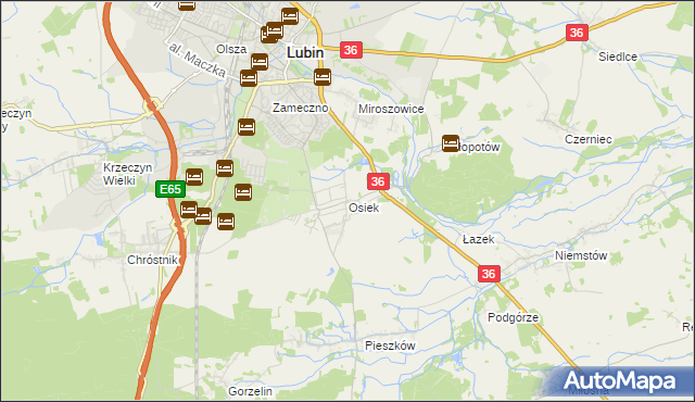 mapa Osiek gmina Lubin, Osiek gmina Lubin na mapie Targeo