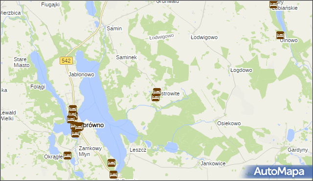 mapa Ostrowite gmina Dąbrówno, Ostrowite gmina Dąbrówno na mapie Targeo