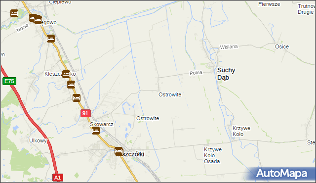 mapa Ostrowite gmina Suchy Dąb, Ostrowite gmina Suchy Dąb na mapie Targeo