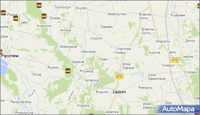 mapa Pałki gmina Zadzim, Pałki gmina Zadzim na mapie Targeo