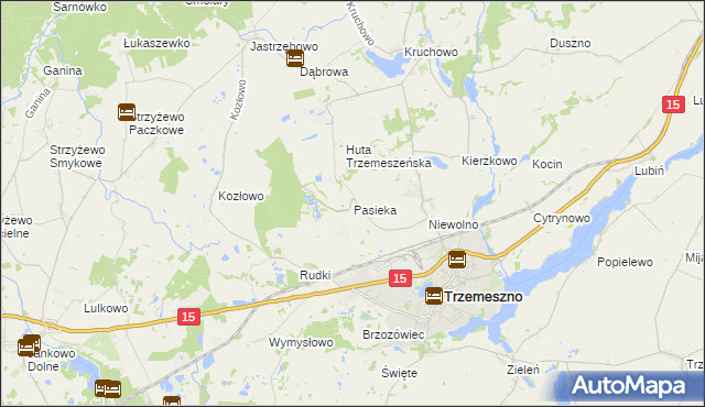 mapa Pasieka gmina Trzemeszno, Pasieka gmina Trzemeszno na mapie Targeo