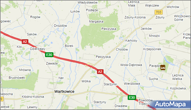 mapa Pełczyska gmina Wartkowice, Pełczyska gmina Wartkowice na mapie Targeo