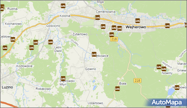 mapa Pętkowice gmina Wejherowo, Pętkowice gmina Wejherowo na mapie Targeo