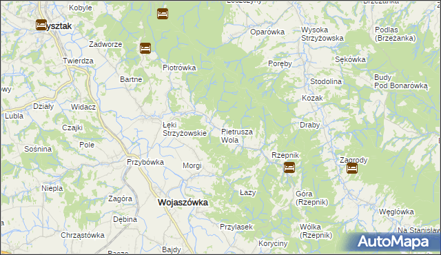 mapa Pietrusza Wola, Pietrusza Wola na mapie Targeo