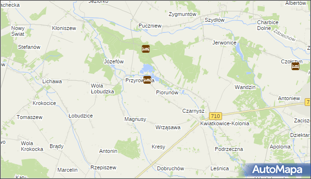 mapa Piorunów gmina Wodzierady, Piorunów gmina Wodzierady na mapie Targeo