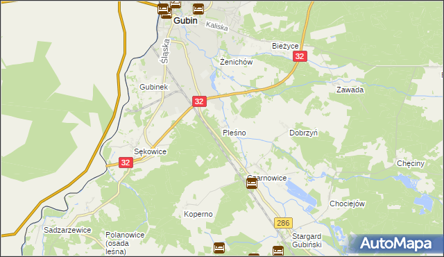 mapa Pleśno gmina Gubin, Pleśno gmina Gubin na mapie Targeo