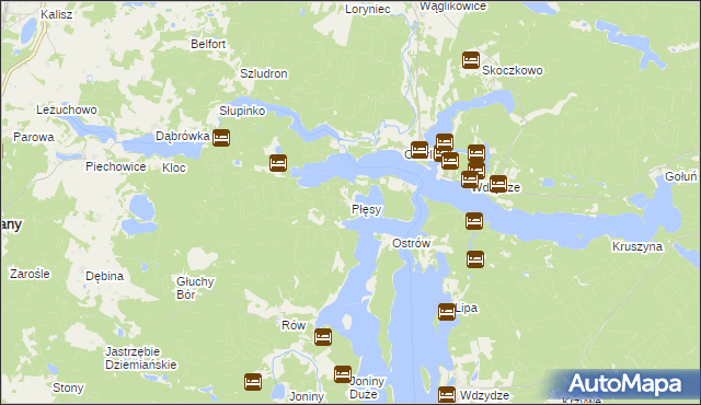 mapa Płęsy, Płęsy na mapie Targeo