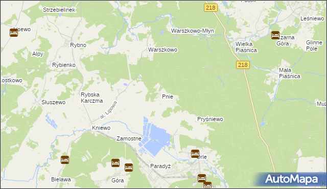 mapa Pnie gmina Wejherowo, Pnie gmina Wejherowo na mapie Targeo