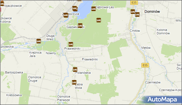 mapa Prawiedniki-Kolonia, Prawiedniki-Kolonia na mapie Targeo