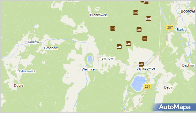 mapa Przychów, Przychów na mapie Targeo