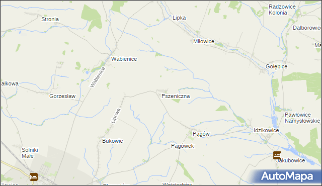 mapa Pszeniczna, Pszeniczna na mapie Targeo