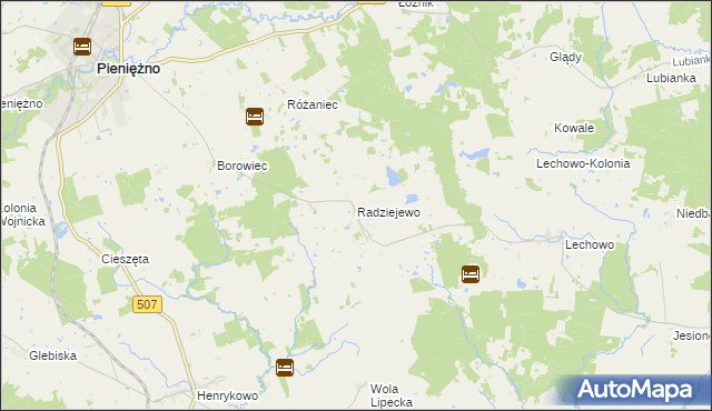 mapa Radziejewo gmina Pieniężno, Radziejewo gmina Pieniężno na mapie Targeo