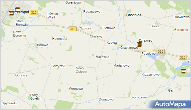 mapa Rakówka gmina Czempiń, Rakówka gmina Czempiń na mapie Targeo