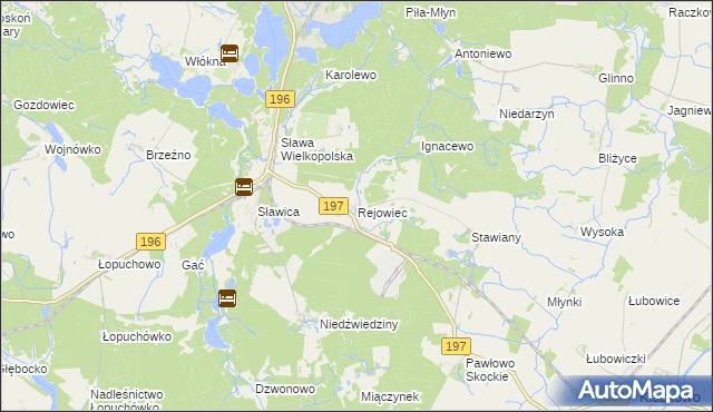 mapa Rejowiec gmina Skoki, Rejowiec gmina Skoki na mapie Targeo