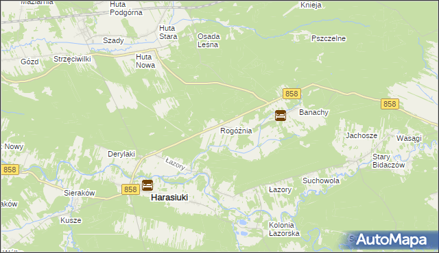 mapa Rogóźnia gmina Harasiuki, Rogóźnia gmina Harasiuki na mapie Targeo