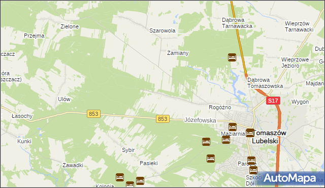 mapa Rogóźno-Kolonia, Rogóźno-Kolonia na mapie Targeo