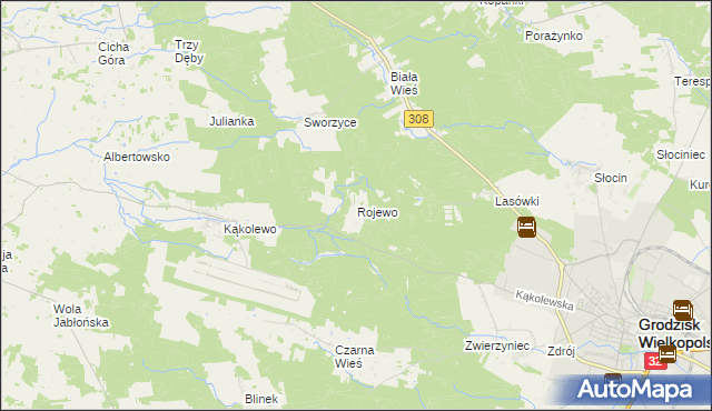 mapa Rojewo gmina Grodzisk Wielkopolski, Rojewo gmina Grodzisk Wielkopolski na mapie Targeo