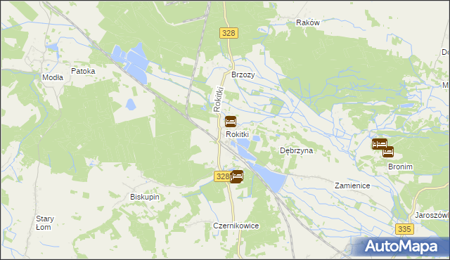 mapa Rokitki gmina Chojnów, Rokitki gmina Chojnów na mapie Targeo