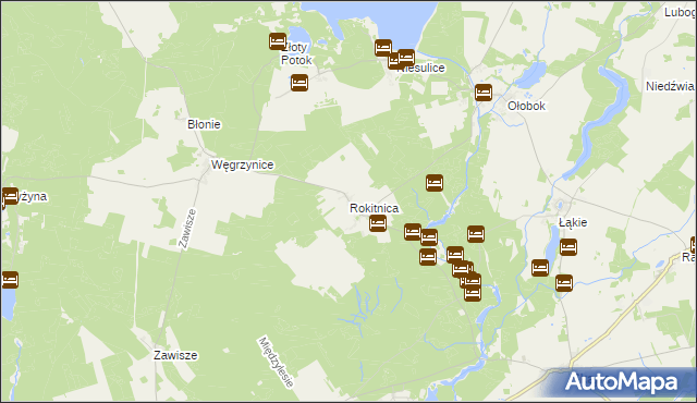 mapa Rokitnica gmina Skąpe, Rokitnica gmina Skąpe na mapie Targeo