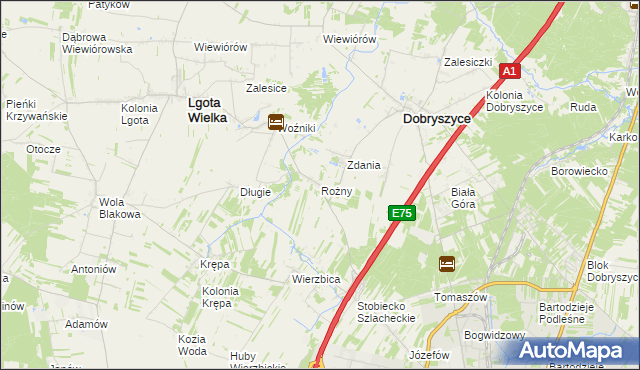 mapa Rożny, Rożny na mapie Targeo