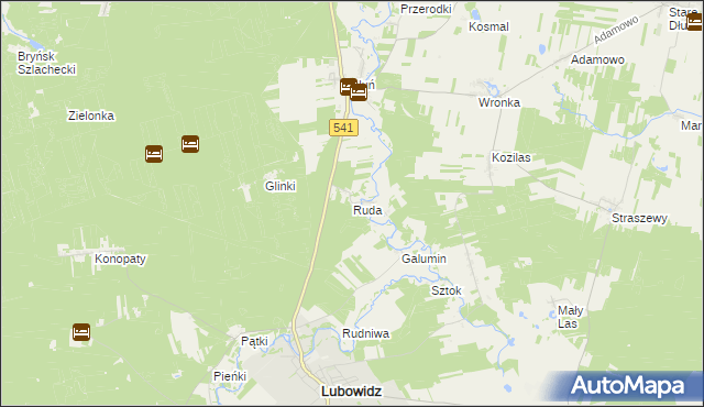 mapa Ruda gmina Lubowidz, Ruda gmina Lubowidz na mapie Targeo