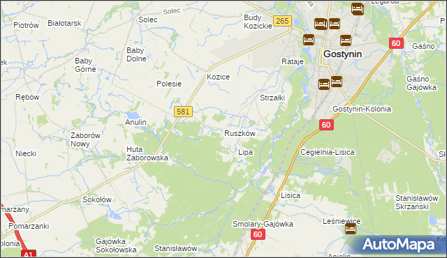 mapa Ruszków gmina Gostynin, Ruszków gmina Gostynin na mapie Targeo
