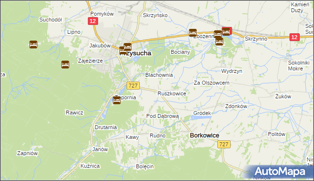 mapa Ruszkowice gmina Borkowice, Ruszkowice gmina Borkowice na mapie Targeo