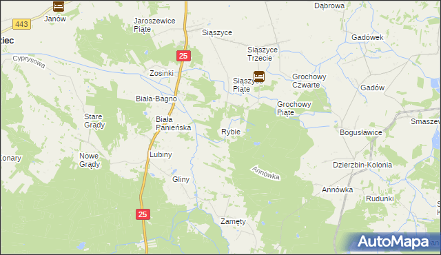 mapa Rybie gmina Rychwał, Rybie gmina Rychwał na mapie Targeo