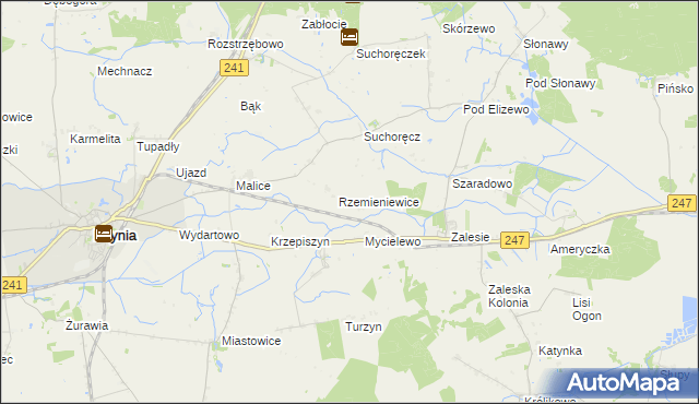 mapa Rzemieniewice gmina Szubin, Rzemieniewice gmina Szubin na mapie Targeo