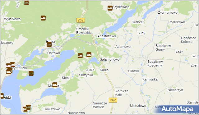 mapa Salamonowo, Salamonowo na mapie Targeo