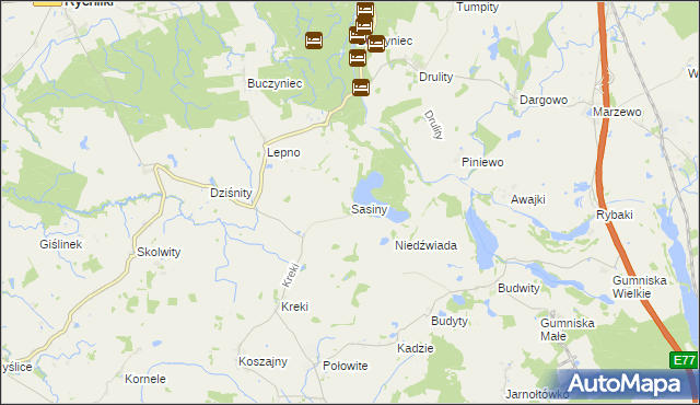 mapa Sasiny gmina Małdyty, Sasiny gmina Małdyty na mapie Targeo