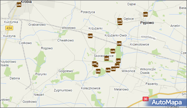 mapa Skoraszewice, Skoraszewice na mapie Targeo