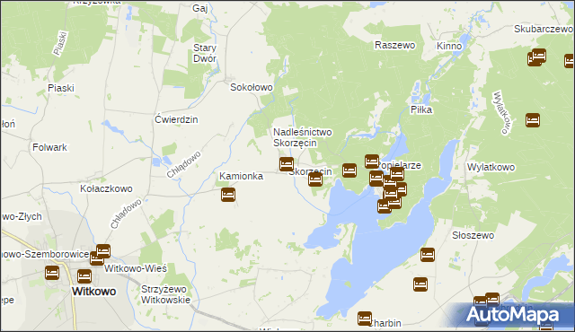 mapa Skorzęcin, Skorzęcin na mapie Targeo